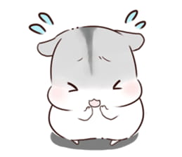 仓鼠,吃瓜子,表情包,手机主题