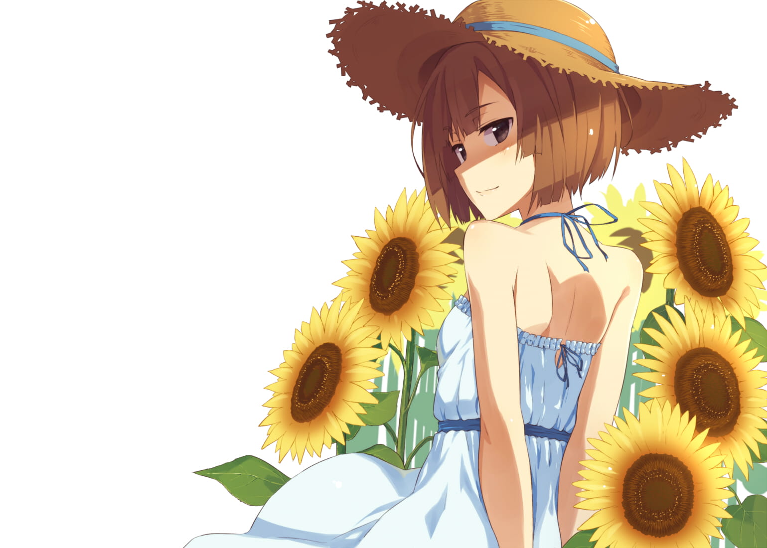 向日葵,花海,