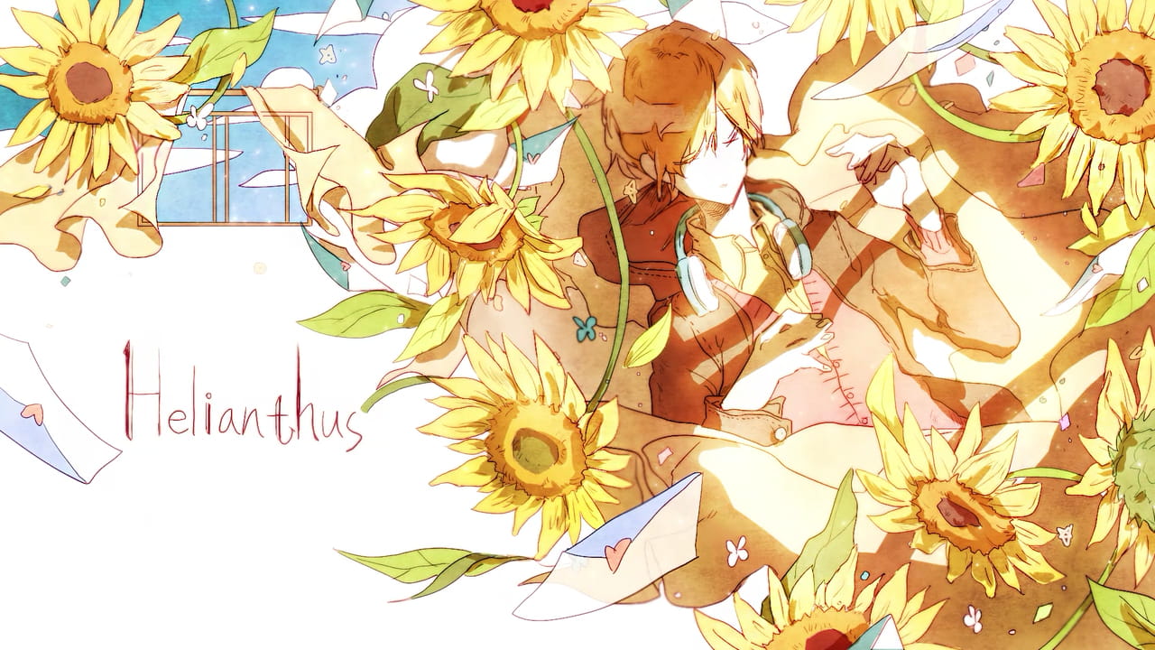 向日葵,花海,