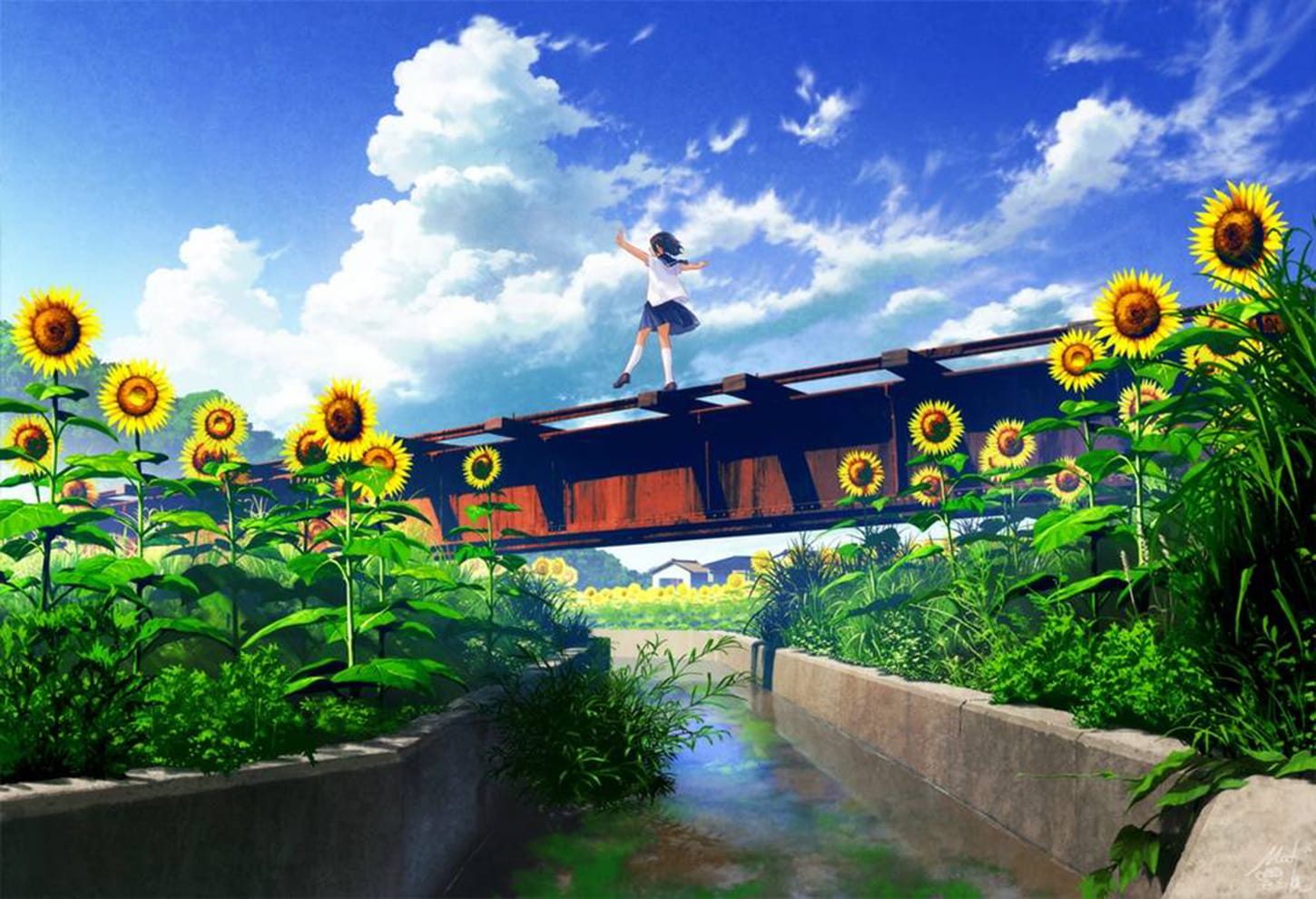 向日葵,花海,