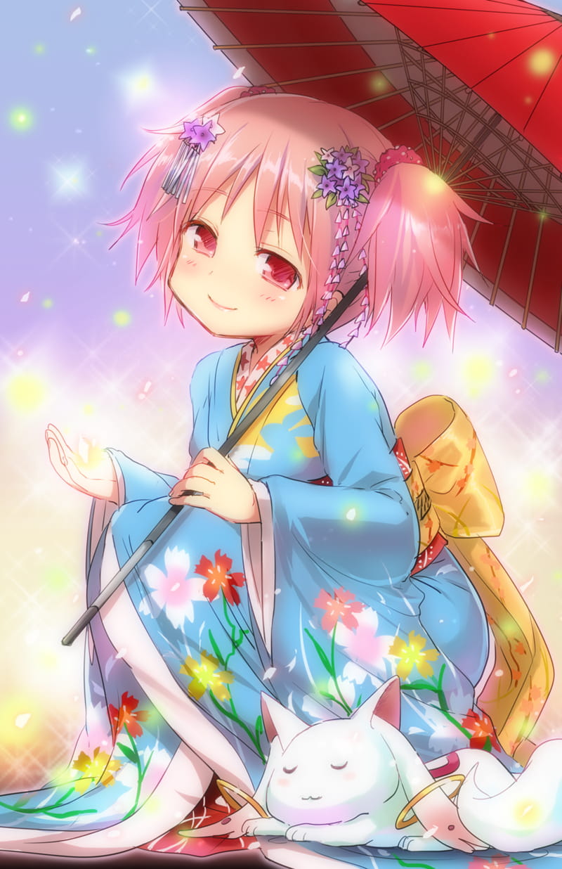 魔法少女小圆,鹿目圆