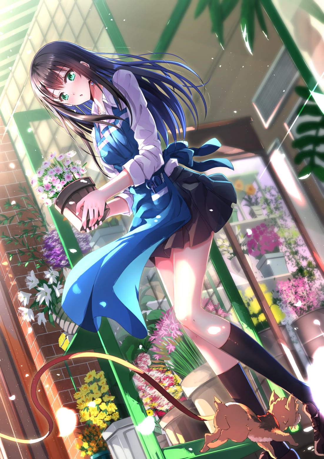 偶像大师灰姑娘女孩,涩谷凛