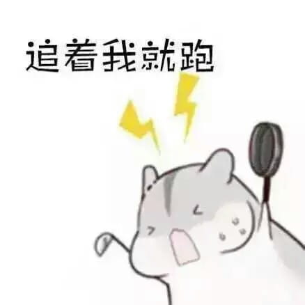 小仓鼠,萌段子