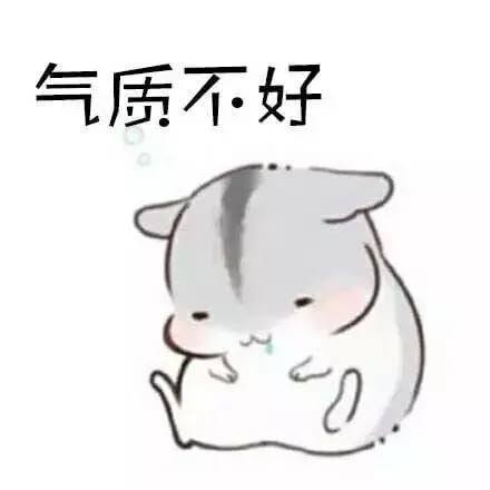 仓鼠,段子