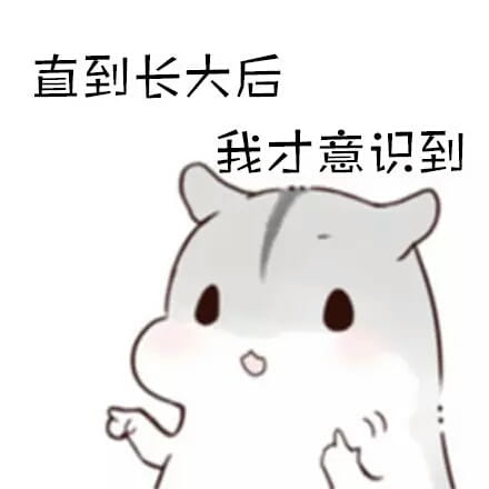 仓鼠,萌段子