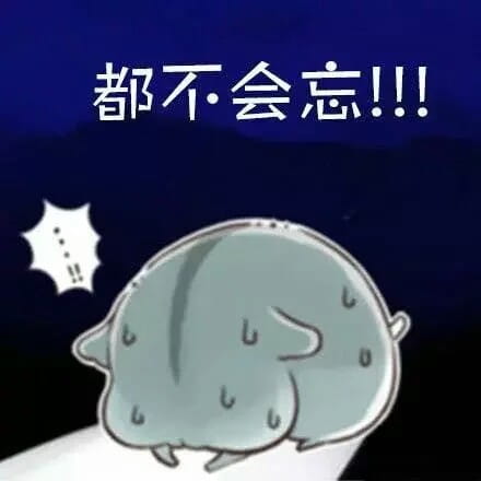 仓鼠,段子