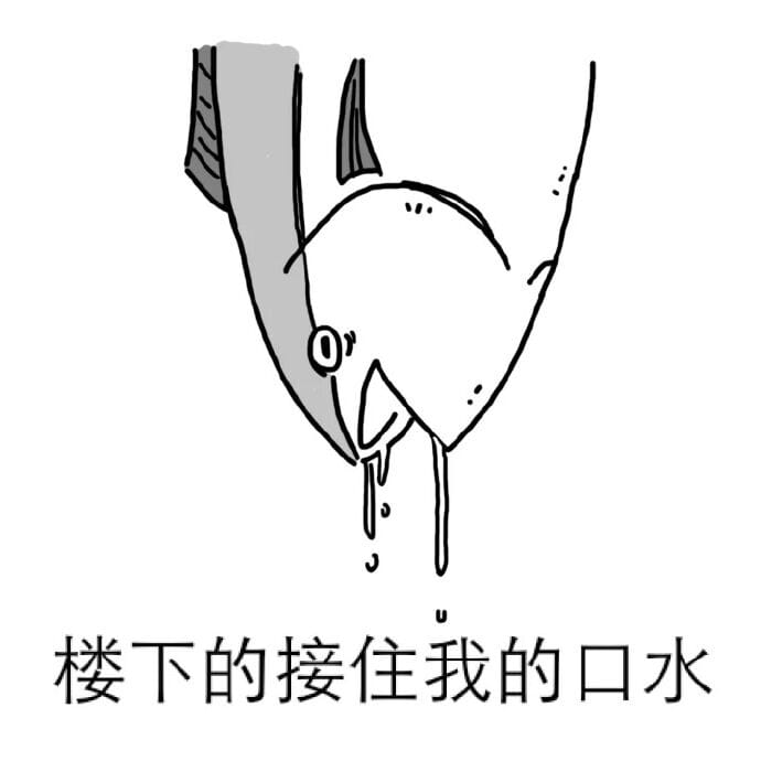 咸鱼,表情包,