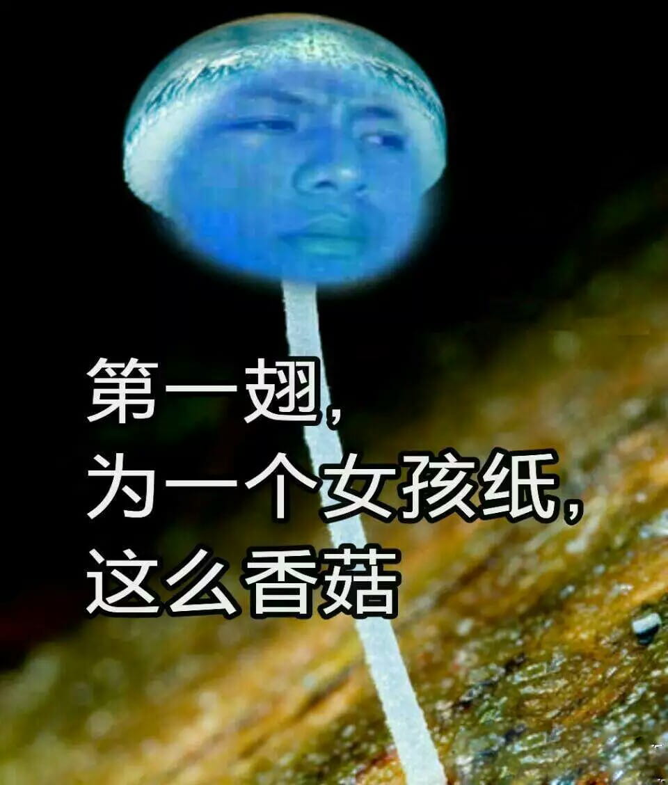 蓝瘦香菇,表情包