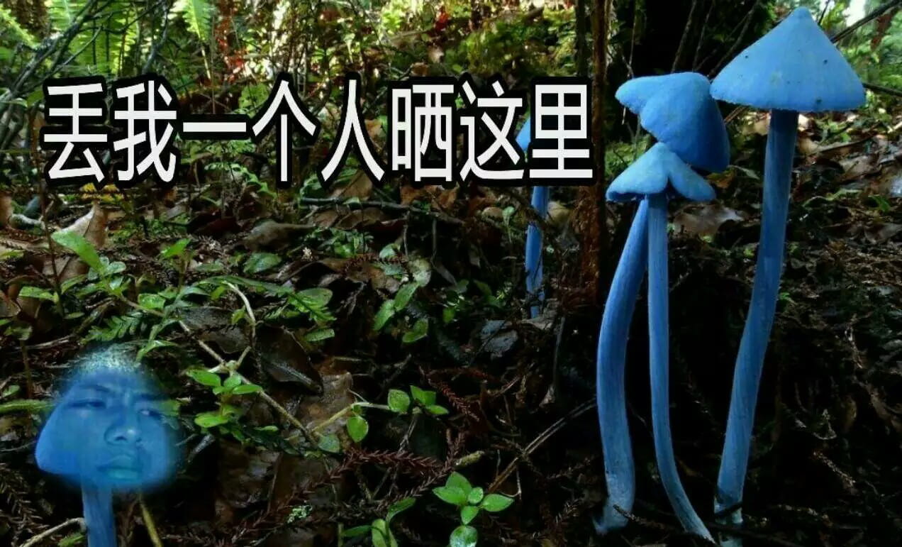 蓝瘦香菇,表情包