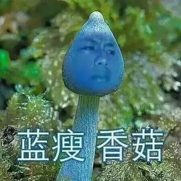 蓝瘦香菇,表情包