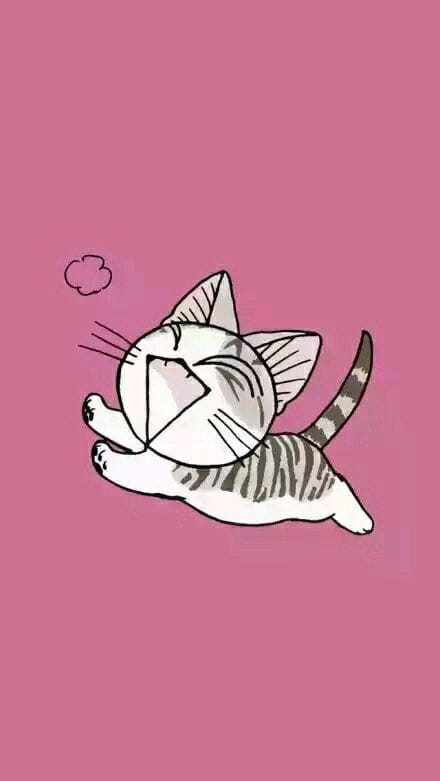 萌宠,私房猫,手机壁纸