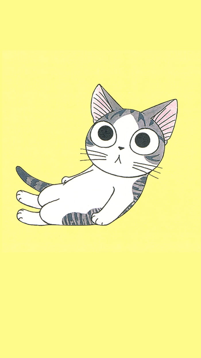 萌宠,私房猫,手机壁纸