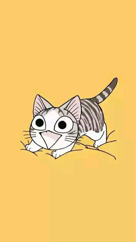 萌宠,私房猫,手机壁纸