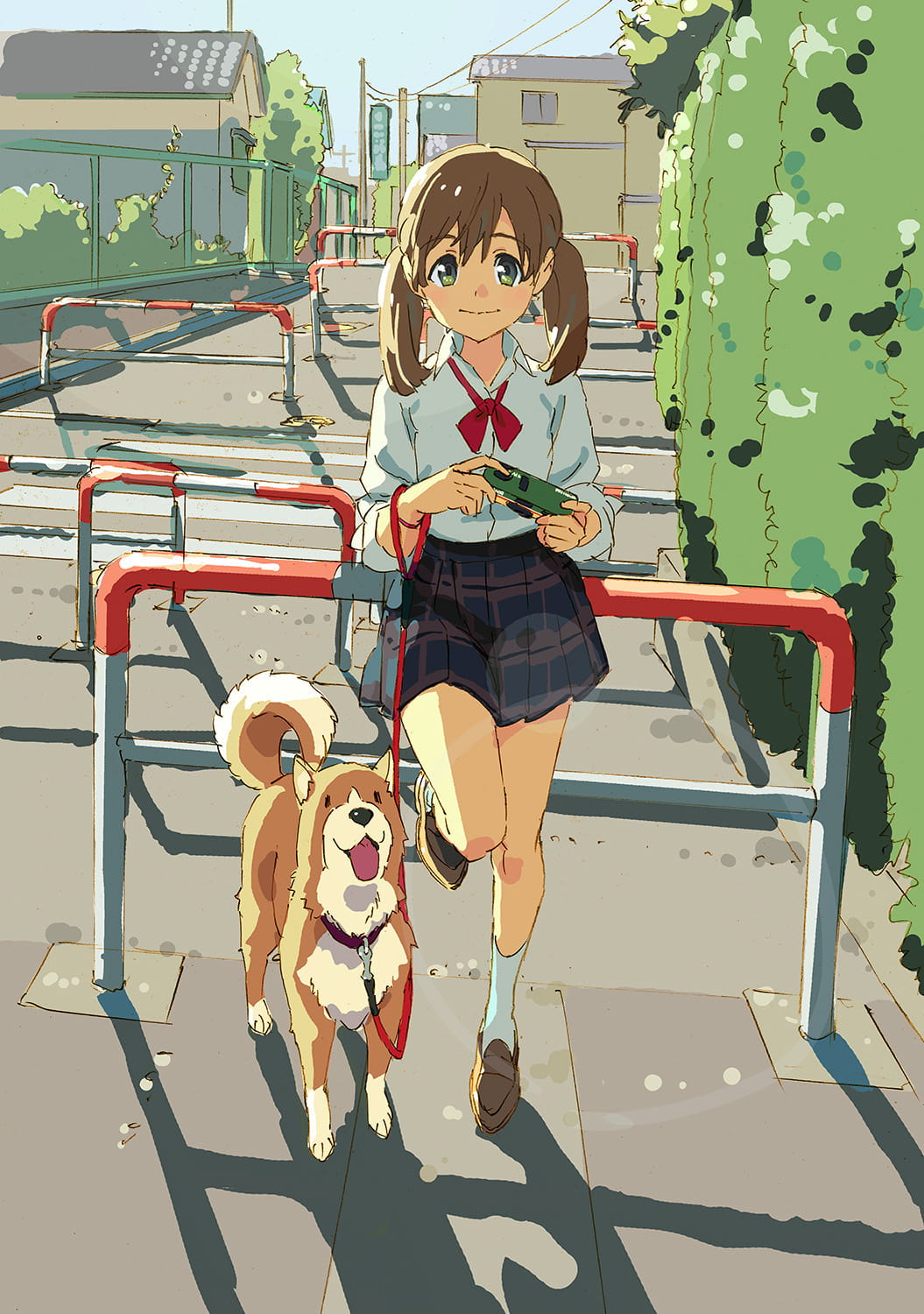 柴犬,汪星人,狗子,