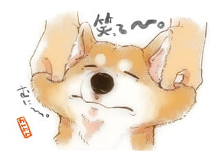 柴犬,汪星人,狗子,