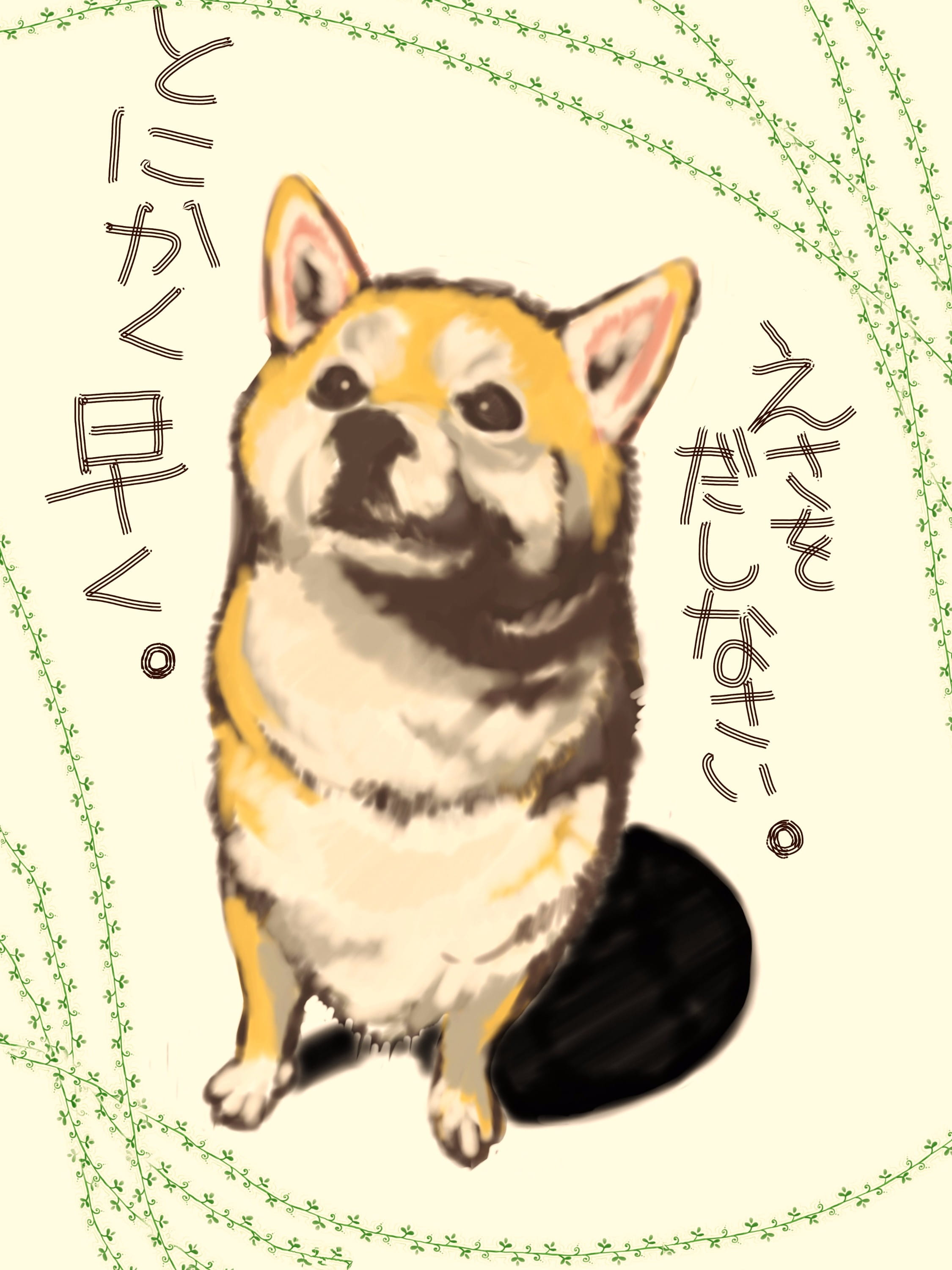 柴犬,汪星人,狗子,