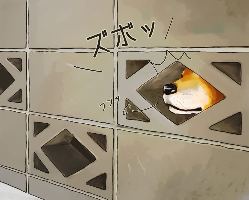 柴犬,汪星人,狗子,