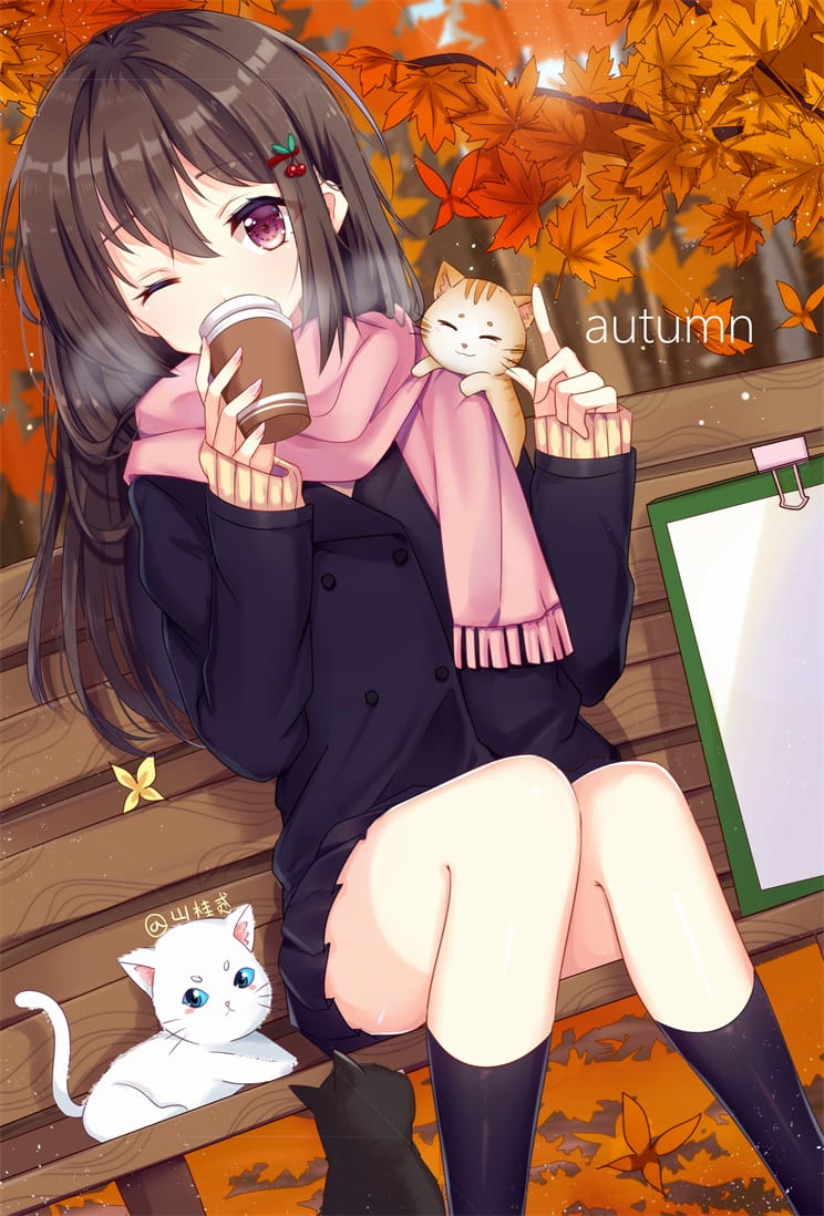 二次元,少女,图片,P站本子