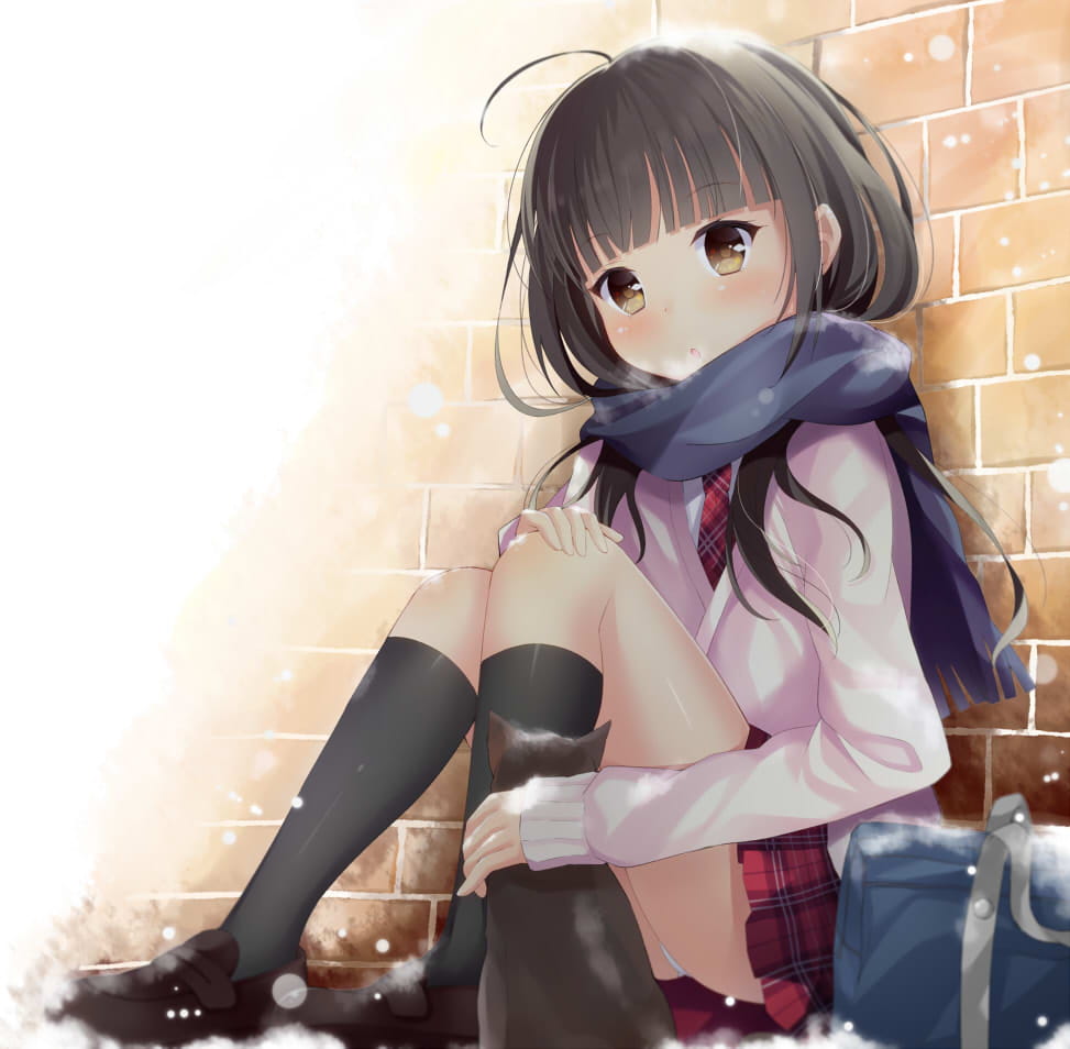 二次元,少女,图片,P站本子