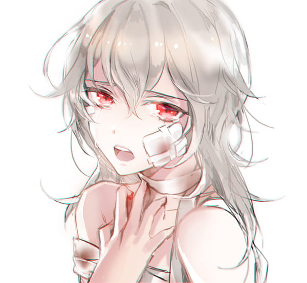 少女,动漫,插画,