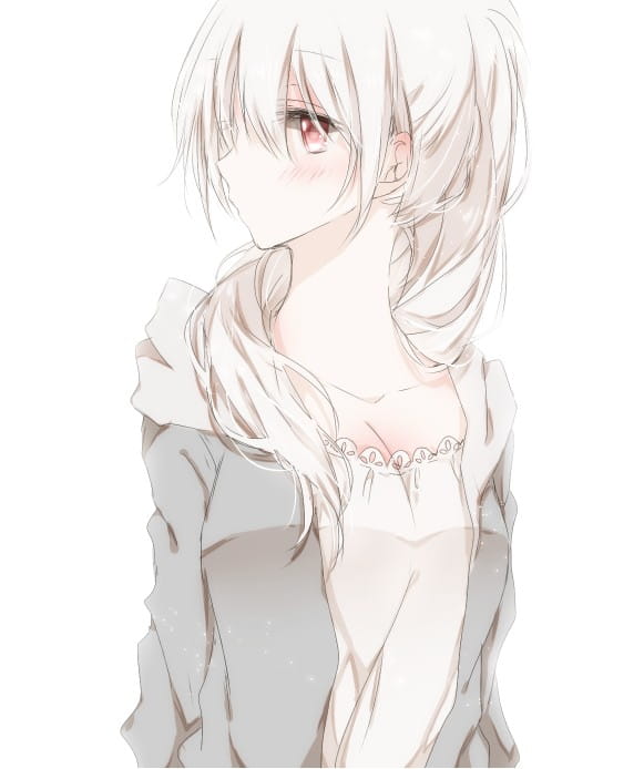 少女,动漫,插画,