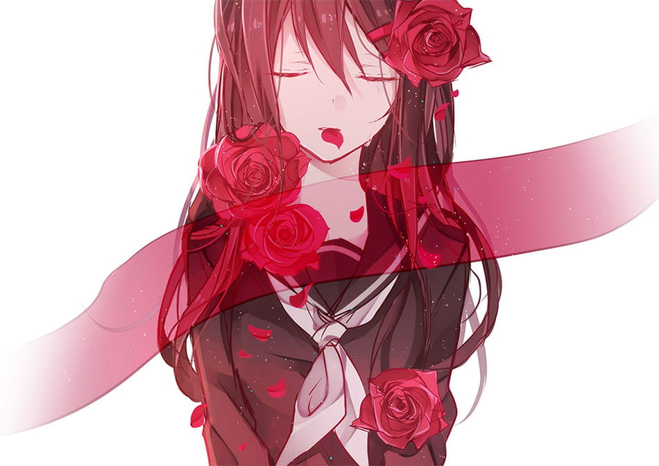 玫瑰,少女,P站