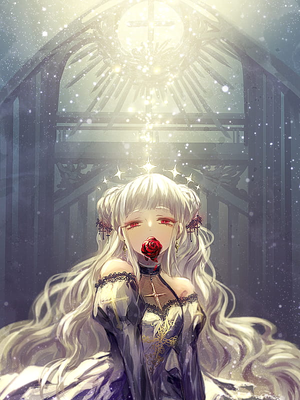玫瑰,少女,P站