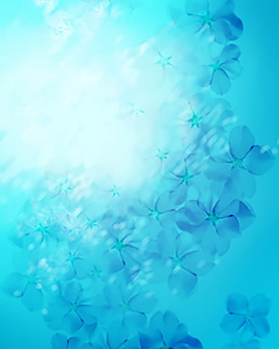 樱花,素材,手机壁纸