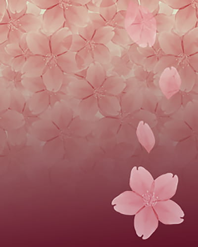 樱花,素材,手机壁纸