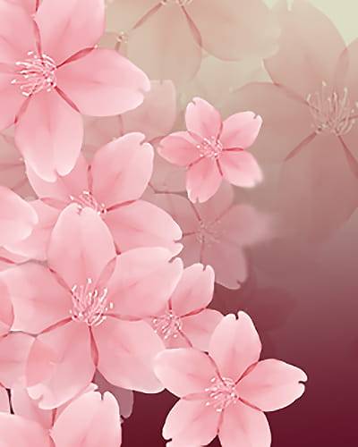 樱花,素材,手机壁纸