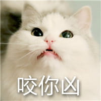 猫咪超凶,qq表情,表情包,斗图