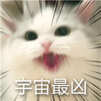 猫咪超凶,qq表情,表情包,斗图