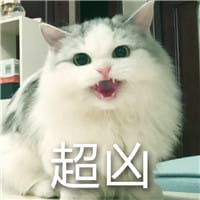 猫咪超凶,qq表情,表情包,斗图