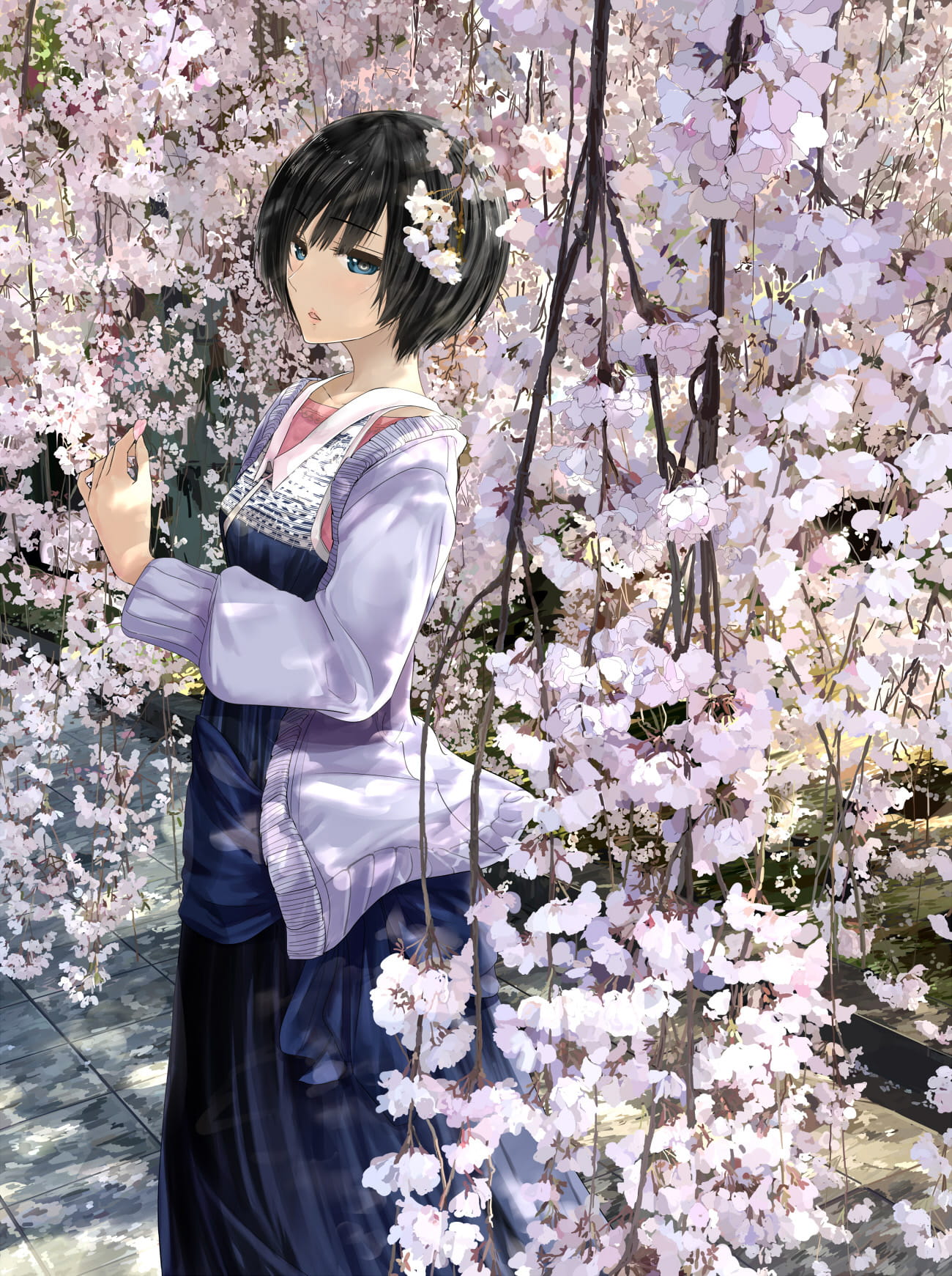 樱花,插画,P站