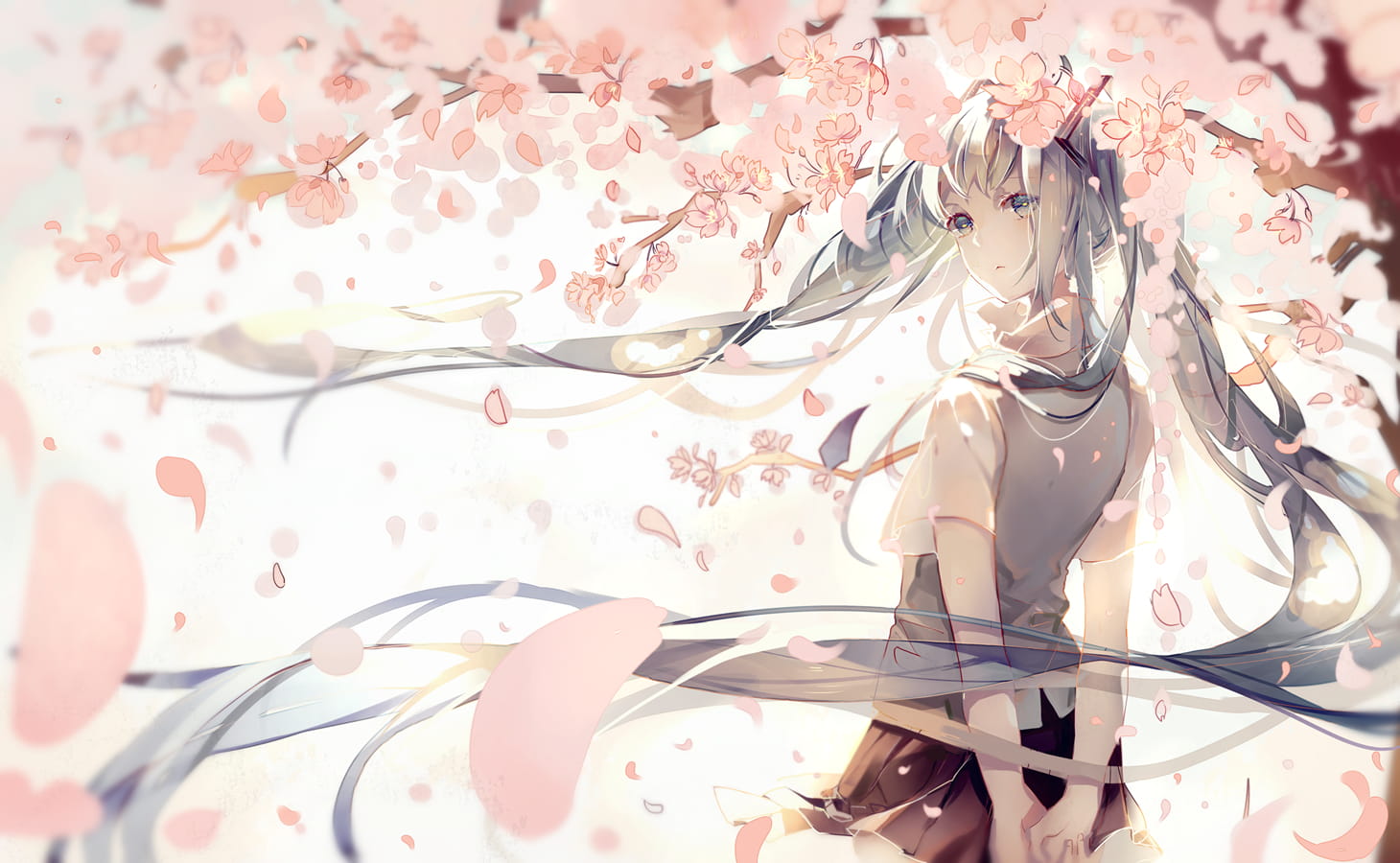 樱花,插画,P站