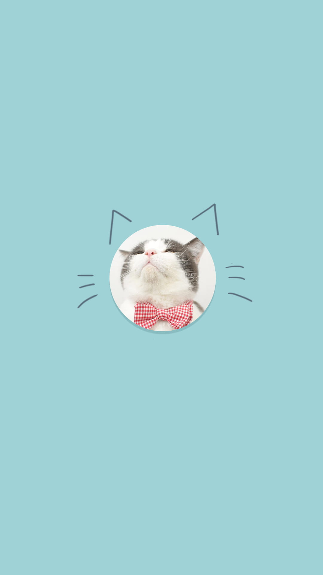 猫咪手机壁纸,喵星人,手机壁纸,下载