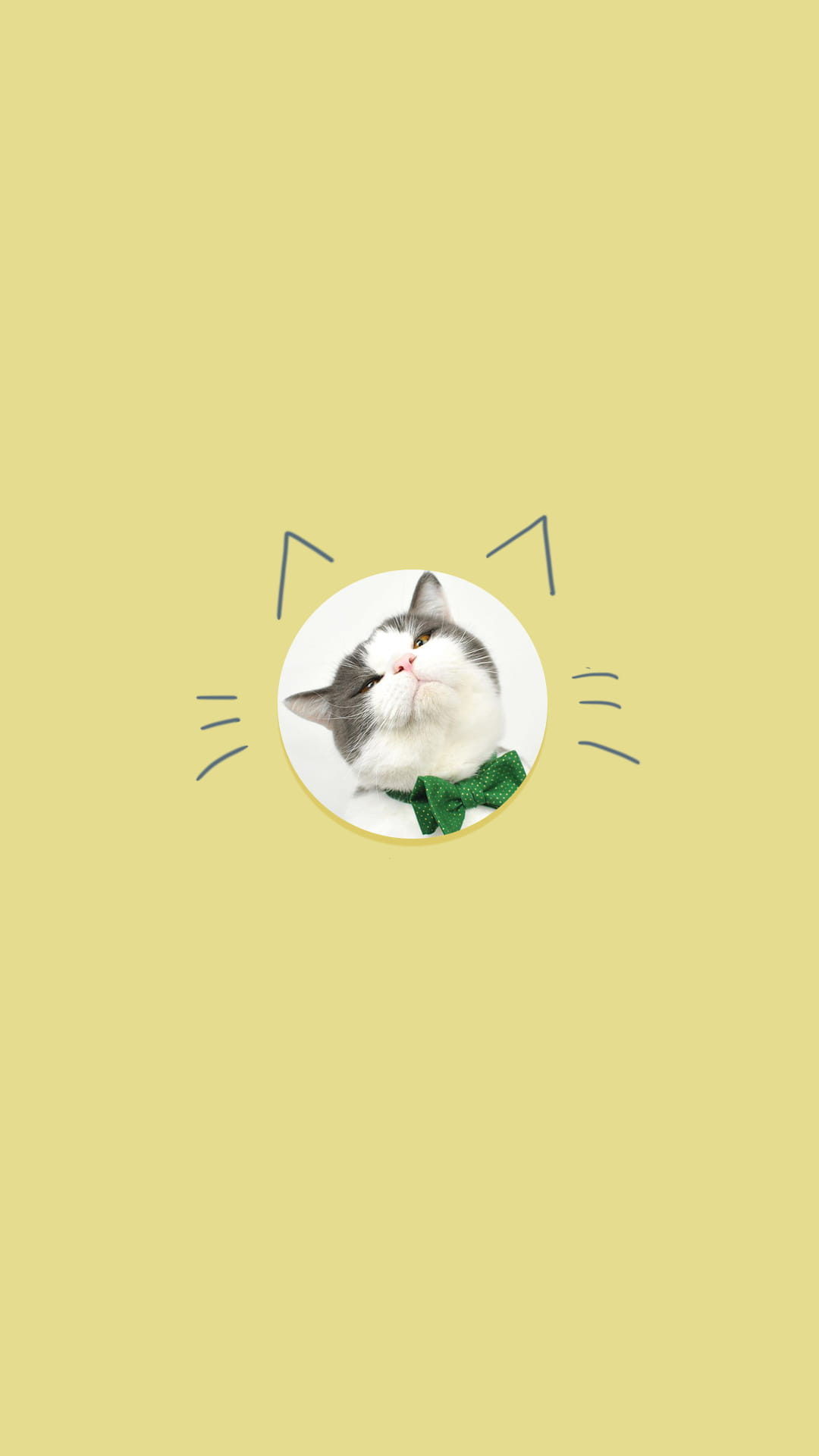 猫咪手机壁纸,喵星人,手机壁纸,下载