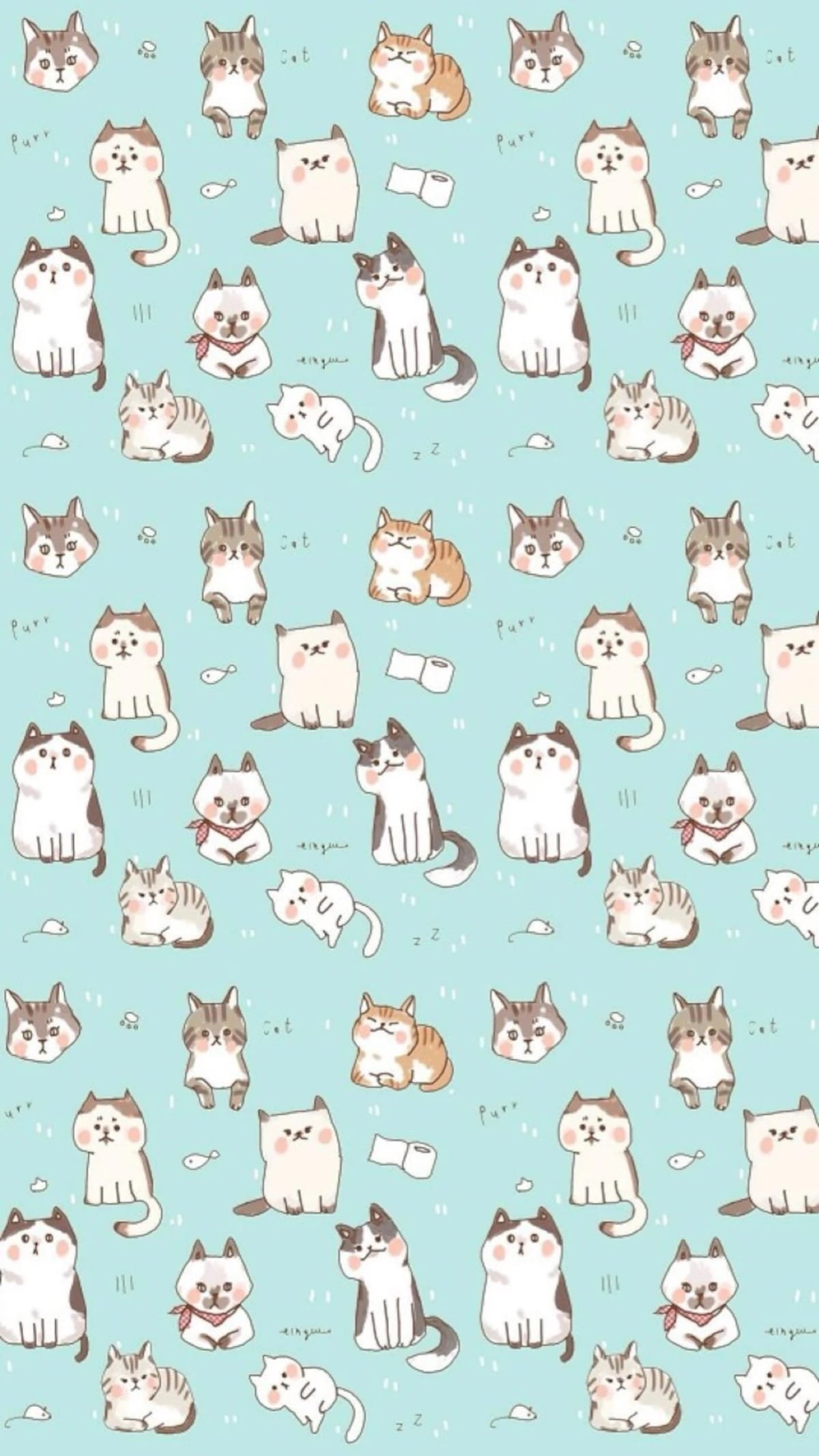 猫咪手机壁纸,喵星人,手机壁纸,下载