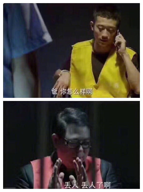 刘星夏东海先后入狱,余罪,人民的名义