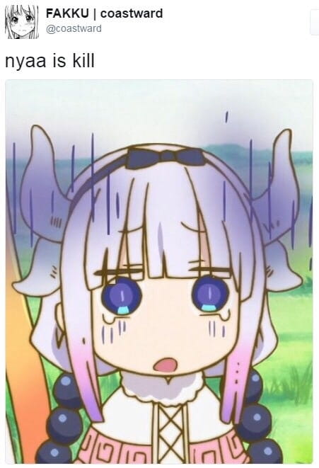 Nyaa,网站,绅士,日推