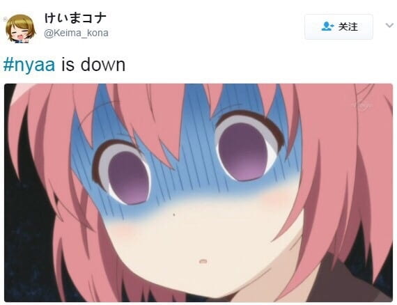 Nyaa,网站,绅士,日推
