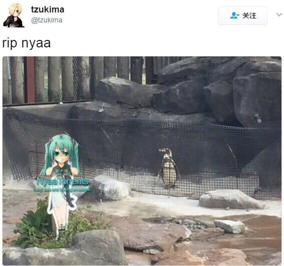 Nyaa,网站,绅士,日推