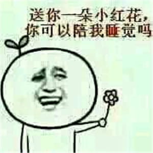 微信表情包,搞笑表情包,送你花表情包
