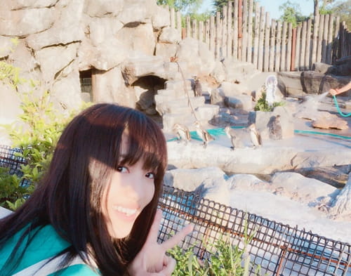 企鹅,优筑田行子,兽娘动物园,东武动物园,呼噜噜