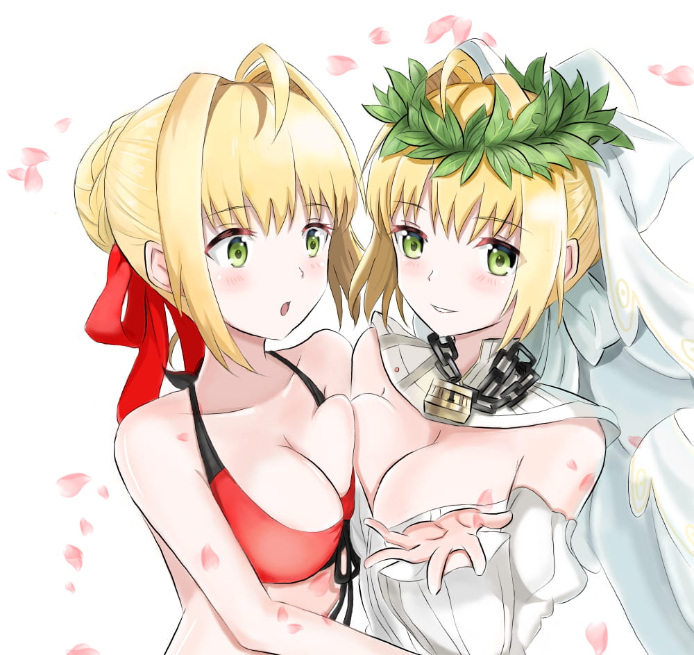 FGO,Saber,礼装,氪金,日本