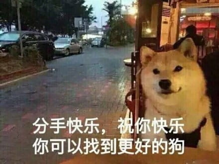 单身狗表情包,搞笑表情包,qq表情包