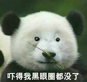 恶搞熊猫表情包,qq表情包,搞笑表情包