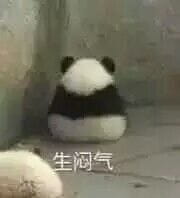 恶搞熊猫表情包,qq表情包,搞笑表情包