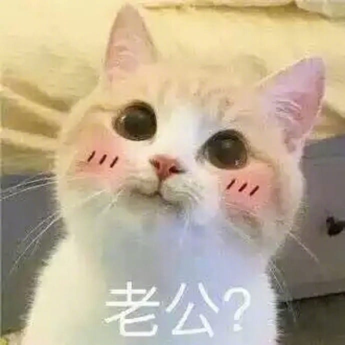 猫咪表情包,撒娇表情包,微信聊天表情包,