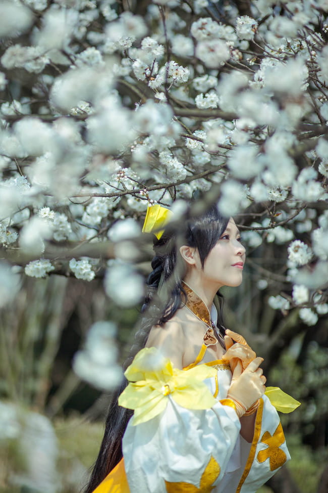 古剑奇谭一,风晴雪cos,葵花花花儿